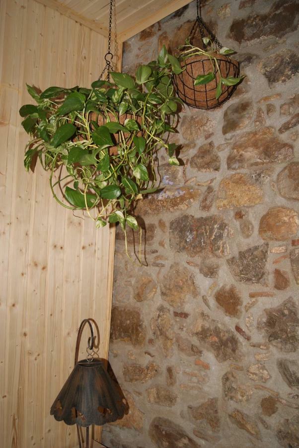 Apartament Codina 40 Appartement Torroella de Montgrí Buitenkant foto