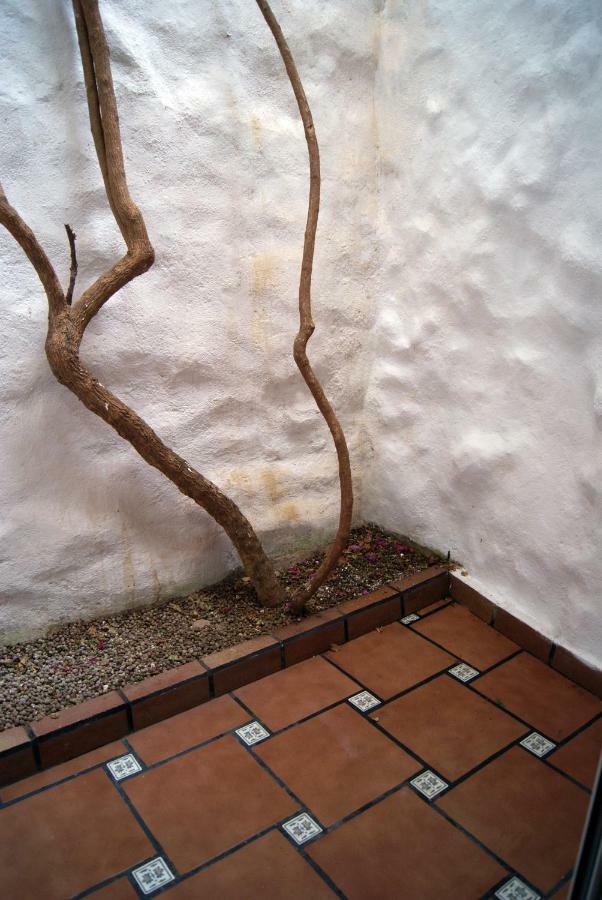 Apartament Codina 40 Appartement Torroella de Montgrí Buitenkant foto